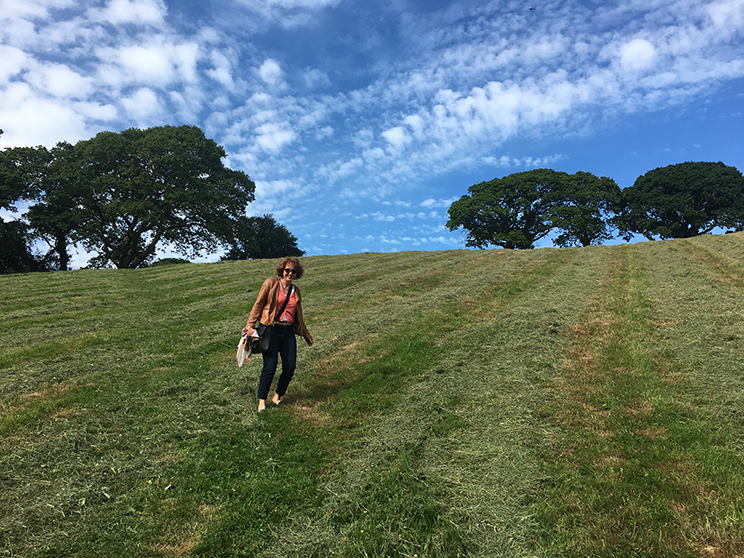 St Clement to Malpas